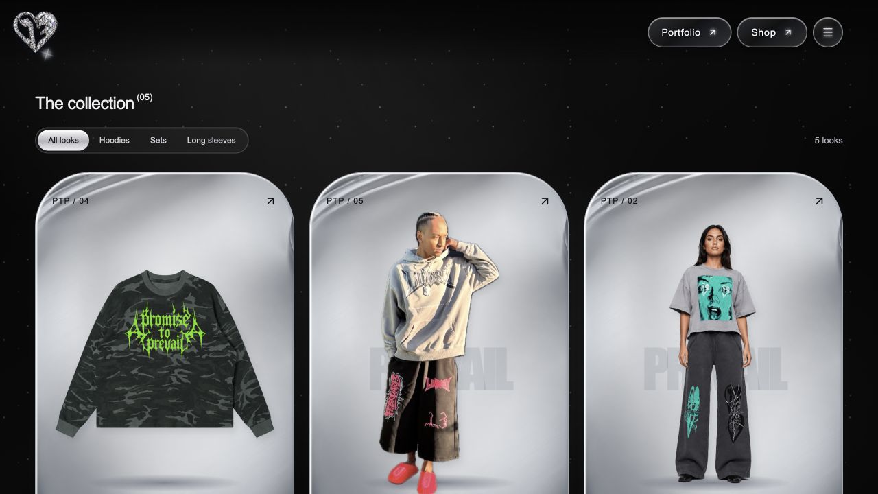 Promise to Prevail collection interface